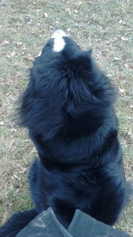 If I Just Sit Here on Your Feet, I Wont Have to Run!